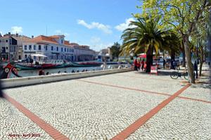 1439 - Aveiro